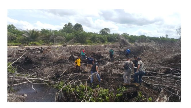 
 Kondisi lahan milik PT.  RKA yang terbakar tahun 2019 silam (doc Istimewa) 